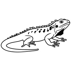Fototapeta premium A contoured reptile shows black spots down its back in a simple outline
