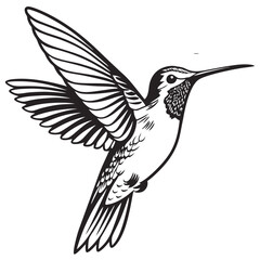 A detailed monochrome hummingbird with spread wings is captured elegantly in this stencil art