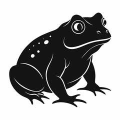 Surinam Toad Silhouette Illustration on White Background likely for scientific illustration educational material or graphic design projects involving amphibians and