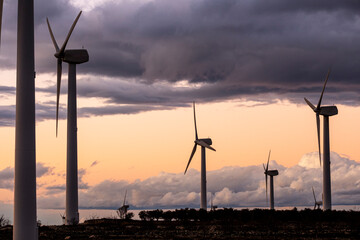 Golden hour light hitting wind turbines, Zaragoza, Spain, clean technology and green energy industry background for sustainable development visuals