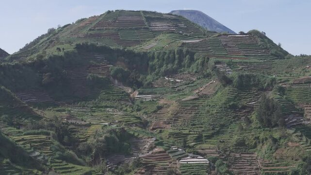 The foreground features an intricate pattern of cultivated land, small structures, and tall pine-like trees, illustrating the harmonious balance between nature and human habitation in this fertile reg