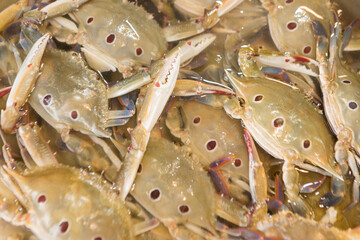 stack of a crab