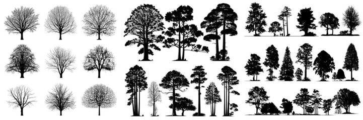 Fototapeta premium A set of modern illustrations featuring detailed silhouettes of trees in various shapes, isolated on a white background in EPS10 format