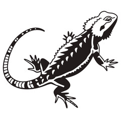 Fototapeta premium A spiky bearded dragon lizard crawling with its striped tail visible in black and white