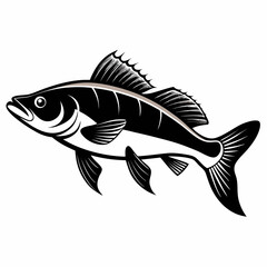 Detailed walleye fish silhouette illustration perfect for fishing enthusiasts wildlife designs or educational materials presented on a clean white background
