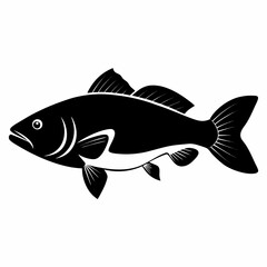 Barramundi fish silhouette vector illustration on a white background perfect for logos icons or graphic design projects featuring Australian wildlife