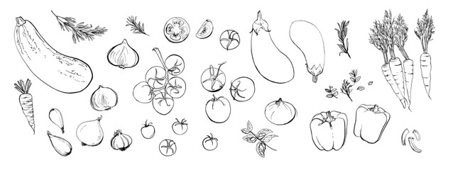 Hand drawn line food illustration vector. Vegetables and herbs, spices. Farm food. Healthy eating