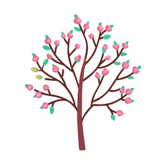 Tree with pink blossoms and thin red branches