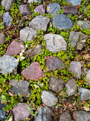 Old stone pavement with green grass growing between rocks, a symbol of time and nature reclaiming man-made structures.