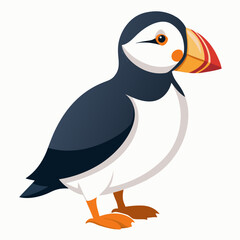Detailed vector illustration of a puffin bird isolated on a clean white background showcasing its distinctive colorful beak and plumage