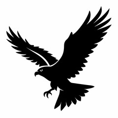 Osprey in Flight Silhouette on White Background a Vector Illustration of a Bird of Prey with Wings Spread