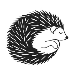 Black and white hedgehog curled up sleeps soundly in a cute minimalist style