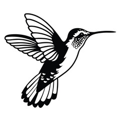 Black and white hummingbird soars with wings spread in a minimalist silhouette