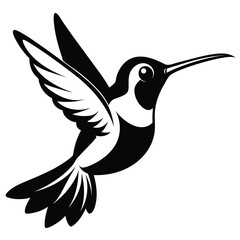Black and white hummingbird soars with wings spread in stylized flight position