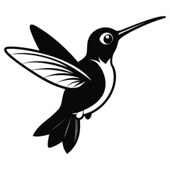 Black and white hummingbird soars with its wing outstretched in this monochrome image