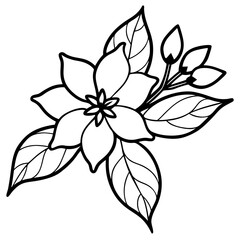 Elegant Jasmine Flower Illustration on White Background Featuring Delicate Floral Design Elements in CMYK Colors for Print and Digital Use
