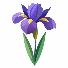 Elegant Iris Flower Illustration on a Clean White Background Perfect for Botanical Designs and Spring Themed Projects with Vibrant Colors