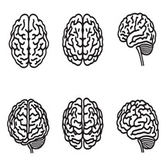Hand drawn style brain line art for creative use
