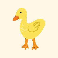 A cute illustration of a yellow duckling