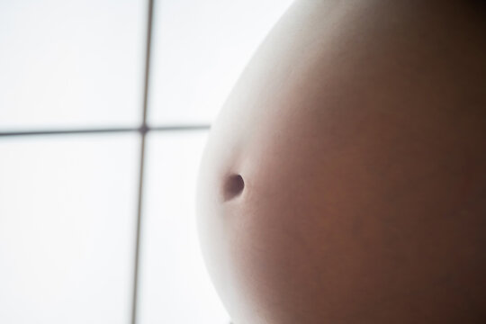 妊婦のお腹