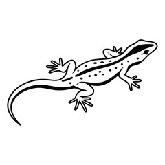 Black outlined gecko shows its pattern markings and slender legs in clear illustration
