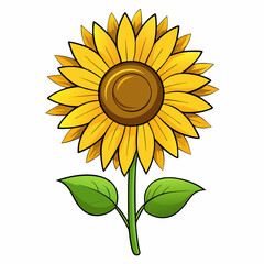 Vibrant sunflower illustration on a clean white backdrop showcasing detailed botanical art with bright colors and a classic floral design