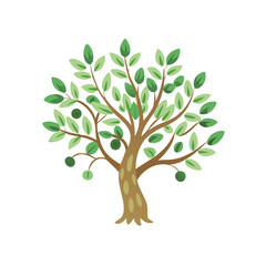 Fototapeta premium Light green tree with sparse leaves
