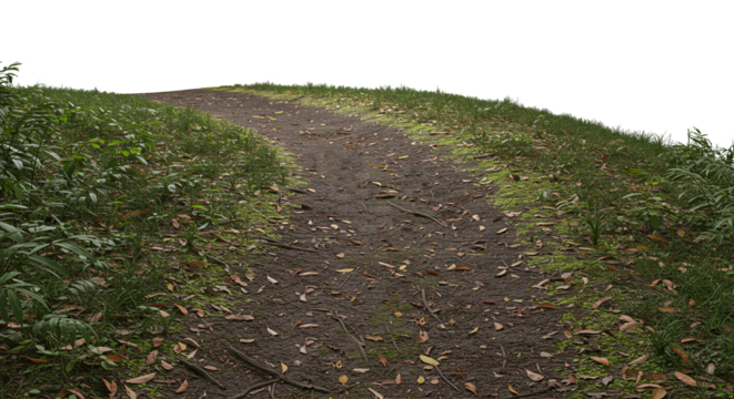 Nature trail path through green forest landscape view isolated on a transparent background - Powered by Adobe