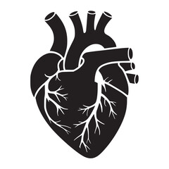 Human Heart Anatomy Vector – Detailed Cardiovascular Silhouette & Medical Illustration