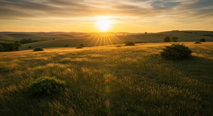 Fototapeta premium Sunlit Meadow with Swirling Wind and Low Horizon