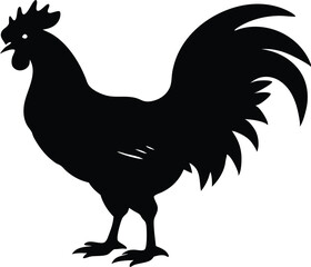 rooster vector illustration