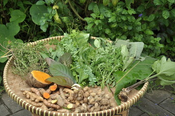 The benefits of traditional turmeric and ginger herbal medicine for health, ranging from...