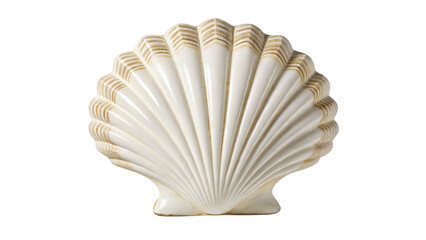Isolated scallop shell close up on black background, white sea shell, ocean life, marine decor item