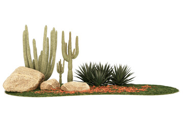 Desert landscape with cacti and agave plants.