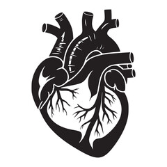 Human Heart Anatomy Vector – Detailed Cardiovascular Silhouette & Medical Illustration