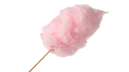 Isolated pink cotton candy sweet treat on a stick sugary snack fluffy confection kids party favor 100 characters
