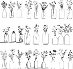  Hand-Drawn Flower in Bottle Illustration Set Featuring Assorted Blooms in Transparent Glass Vases in Black Line Art Style