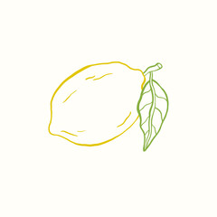 Vector doodle illustration of citrus fruit lemon