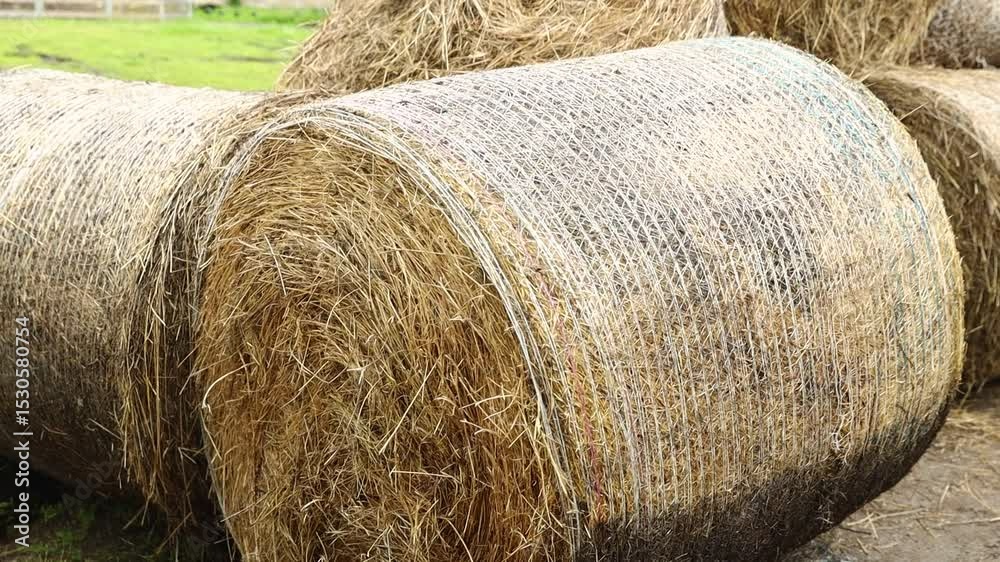 Poster a single stack of hay sitting in the middle of an open field, perfect for rural or agricultural sett
