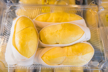 Close-up of durian fruit neatly packed in a clear plastic container, showcasing bright yellow flesh and white edible seeds