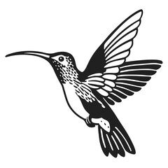 Obraz premium Detailed black silhouette displays a hummingbird midflight, its wings spread dynamically