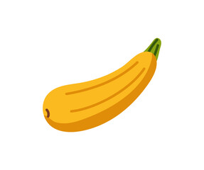 Icon of ripe zucchini. Organic courgette, natural squash. Healthy vegetable, eating with vitamins, farm food. Agriculture harvest, autumn crop. Flat isolated vector illustration on white background