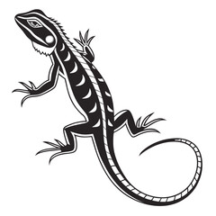 Detailed line lizard showcases the reptile crawling with its curled tail, black and white