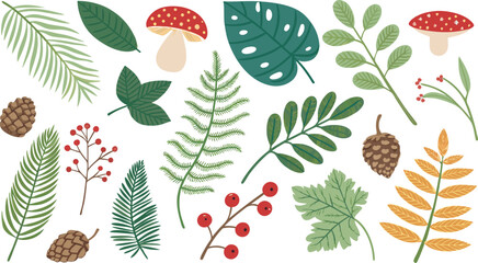 Forest and jungle plant icon set ferns, tropical leaves, mushrooms, pine cones, vines, and berries in flat vector style on white background.