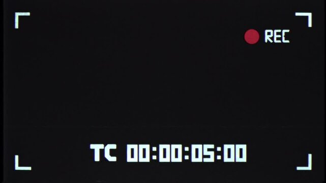 This stock motion graphic shows the VHS recording overlay, with alpha channel.