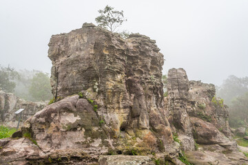 Marvel at the ancient sandstone pillars of Hin Nor Field within Pa Hin Ngam National Park,...