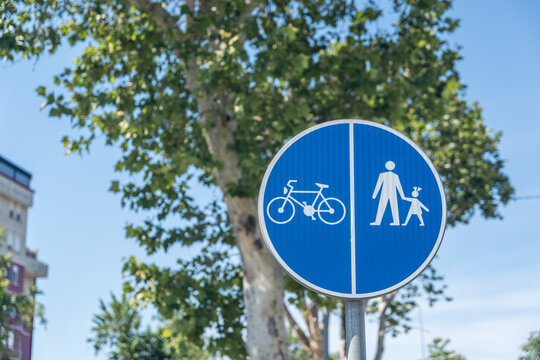 Blue circular traffic sign with white icons for pedestrian and bicycle crossing, emphasizing shared path for safe transit