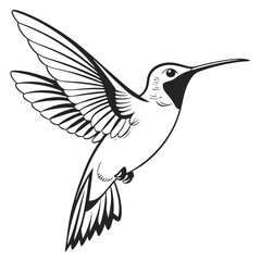 Obraz premium Graceful hummingbird with delicate wings soars elegantly in a timeless monochrome pattern