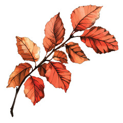 Fototapeta premium fall leaves clip art