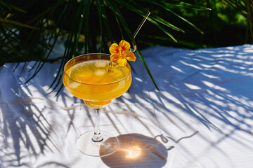 Summer refreshing orange soda drink on the table in the garden. Iced lemonade with orange slices.